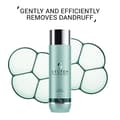 Miniatyrbild 4 av 7: System Professional Purify Shampoo 250ml