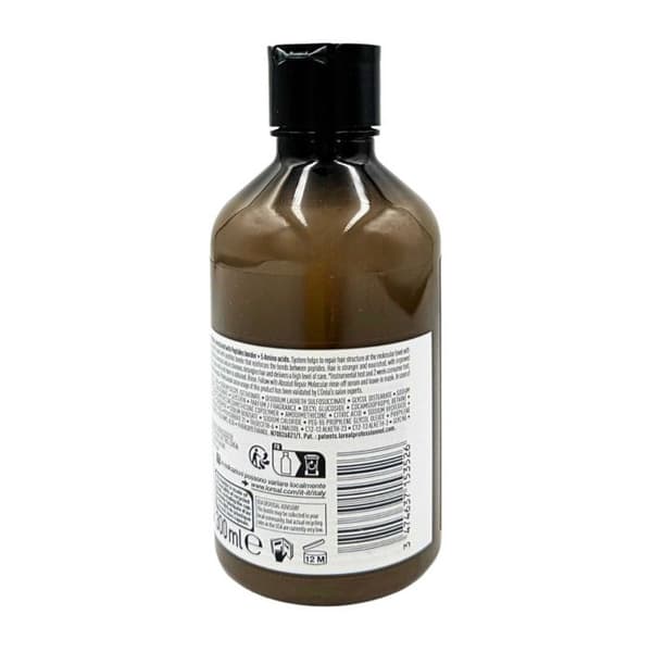 Absolut Repair Molecular Shampoo 300ml