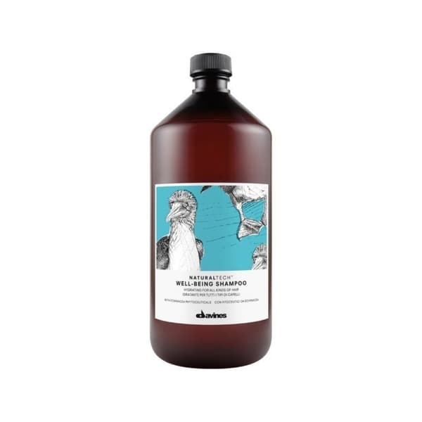Fuktgivande schampo Davines Well-Being 1 L