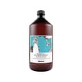Miniatyrbild 2 av 3: Fuktgivande schampo Davines Well-Being 1 L