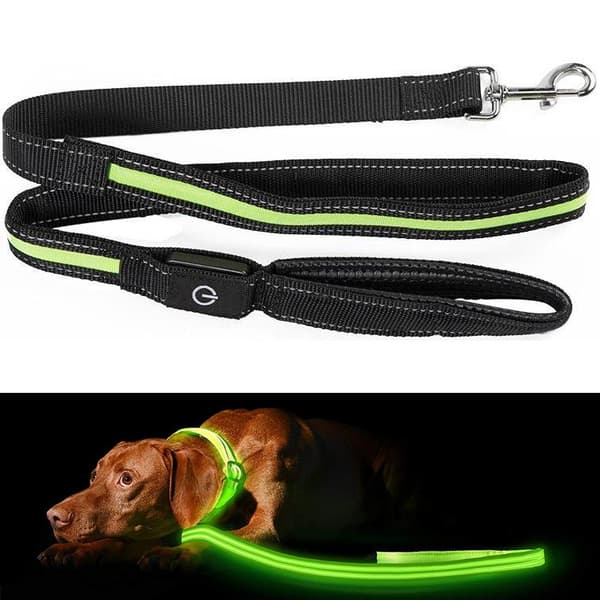 Hundkoppel med LED / Koppel för Hund - 175 cm