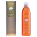 Miniatyrbild 3 av 5: Vårdande schampo Argan Sublime Farmavita 250 ml 1 L - 250 ml