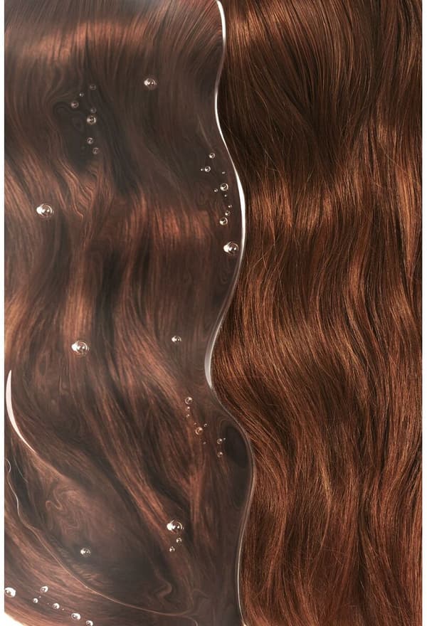 Shampoo Phyto Paris Couleur 250 ml