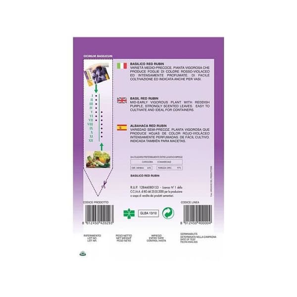 SEMENTI DI BASILICO VIOLA RÖD RUBIN viola orto semi frön giardino
