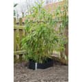 Miniatyrbillede 3 af 4: Nature rodbarriere dug 0,7 x 3 m HDPE sort 6030226