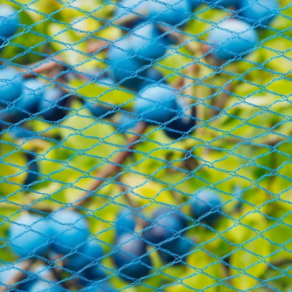 Nature 423502  Bird Netting "Nano" 10x4 m Blue