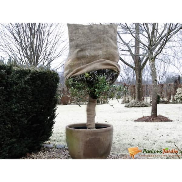 Nature Frostskydd för växter jute 230 g/m² naturfärg 0,75x1 m