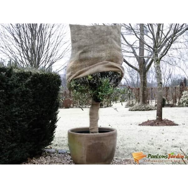 Nature Frostskydd för växter jute 230 g/m² naturfärg 0,75x1 m