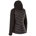 Miniatyrbild 2 av 5: Trespass Kvinnor/Damer Elvira Soft Shell Jacket