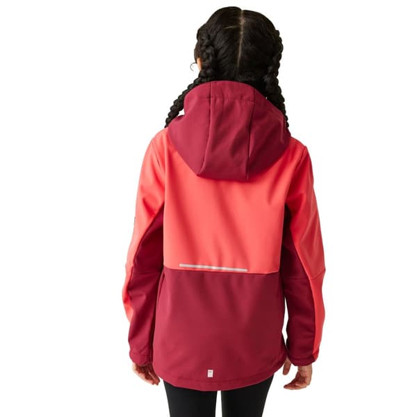 Regatta Childrens/Kids Haydenbury II Soft Shell Jacket