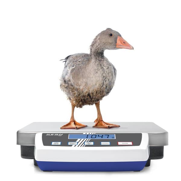 Kern DE 60K10D Paketvåg Vägningsområde 60 kg Läsbarhet 10 g, 20 g 230 V, batteri Silver