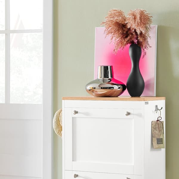 Rootz Moderne skoskab - Skoopbevaring - Skoopbevaring - Pladsbesparende design - Kan monteres på væg - Robust konstruktion - 59 cm x 116 cm x 26 cm