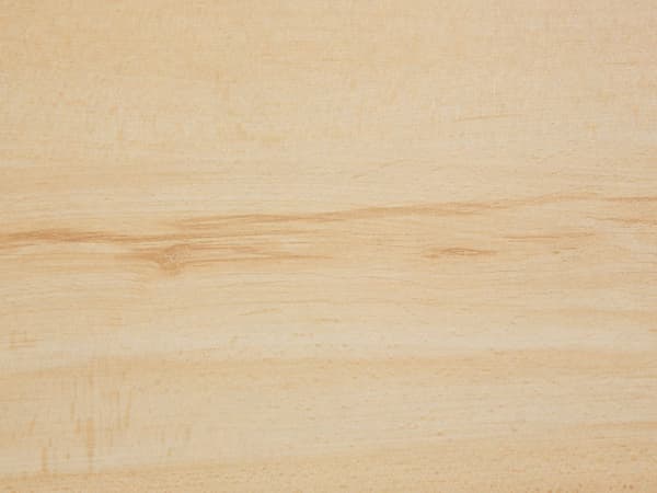 Skoopbevaringsskab Lyst træ Spånplade Ben i gummitræ 2 rum Moderne design Entre Gang