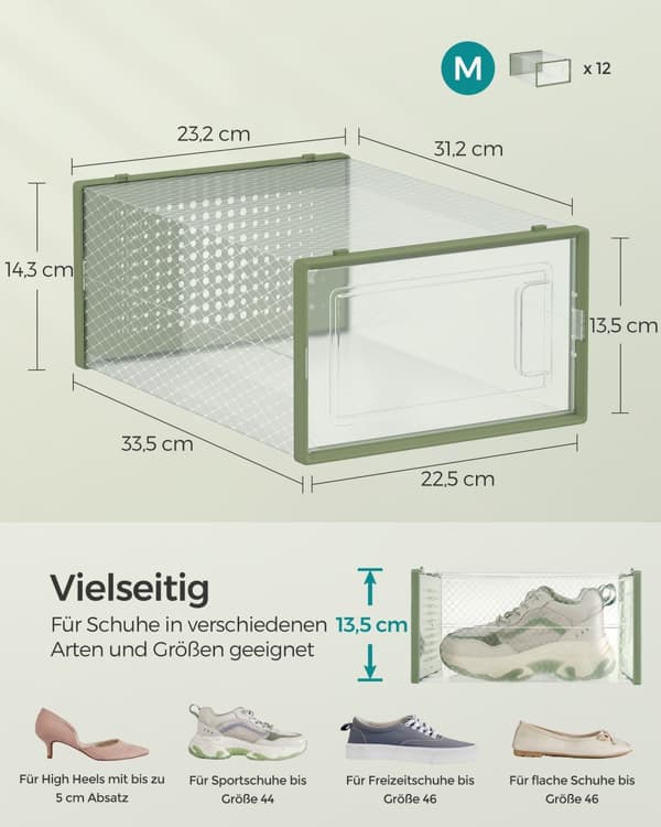 Uppsättning av 12 skopruta - Transparent & Laurier Green