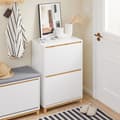 Miniatyrbillede 3 af 7: Rootz Modern Shoe Cabinet - Foldbare rum - Rumbesparende opbevaring - MDF & Bambus - 60x91x34cm
