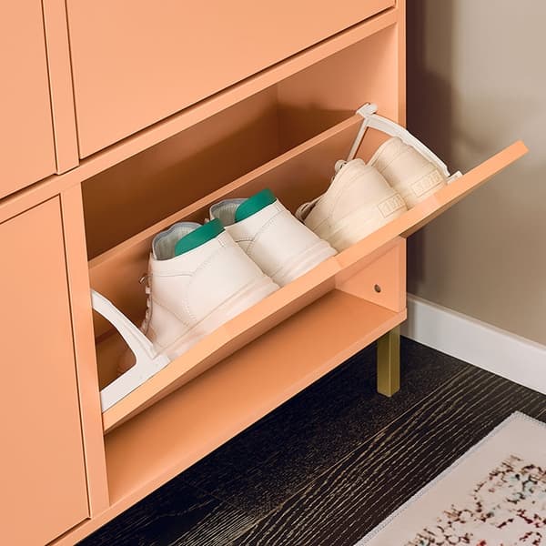 Rootz Shoe Cabinet - Footwear Organizer - Storage Unit - Compact Design - Steel Frame - 100x90x19cm for stabilitet og bekvemmelighed