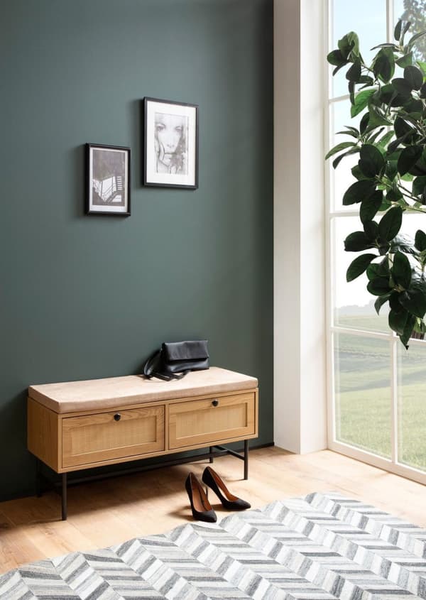 Rootz Modern Coat Bench - Storage Seat - Entryway -järjestäjä - Tilavat laatikot - 100 cm x 48 cm x 38cm