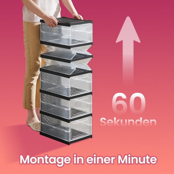 Schoenenkastset van 2, met 12 schoenendozen, geïntegreerde schoenenorganizer