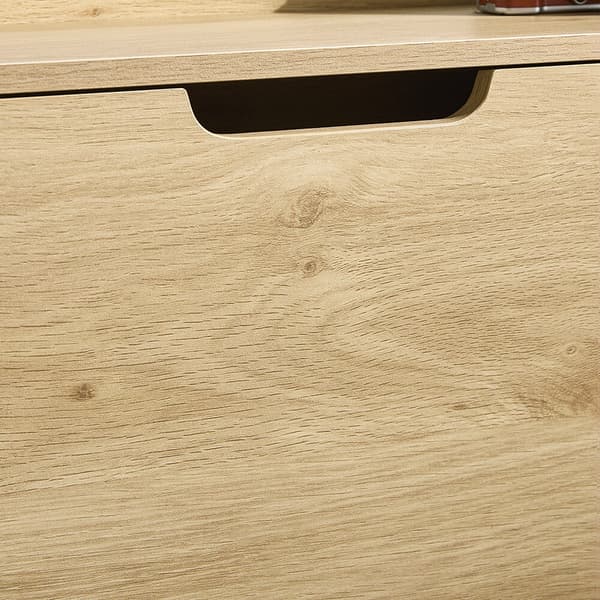 Sko Skab, FSR100-N, 100x19x90 cm, Brun