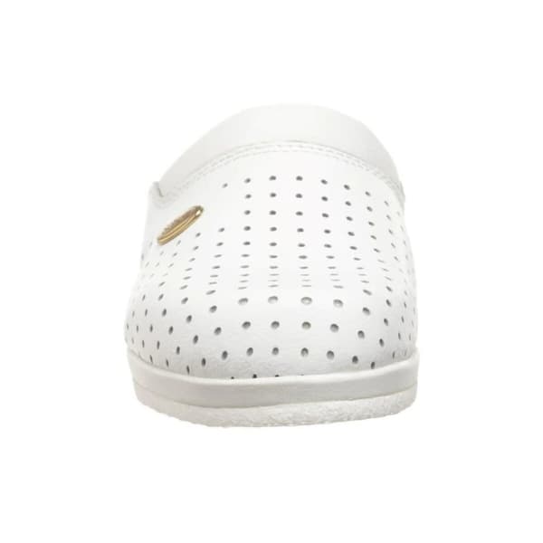 Puukengät Scholl Clog Backguard Valkoinen - 38