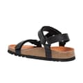 Pikkukuva 3 / 3: Flip-flopit Scholl MF230091004 Rozm.42 Ruskea Musta 42
