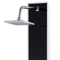 Miniatyrbilde 3 av 10: vidaXL Dusjpanel glass 18x42,1x120 cm svart