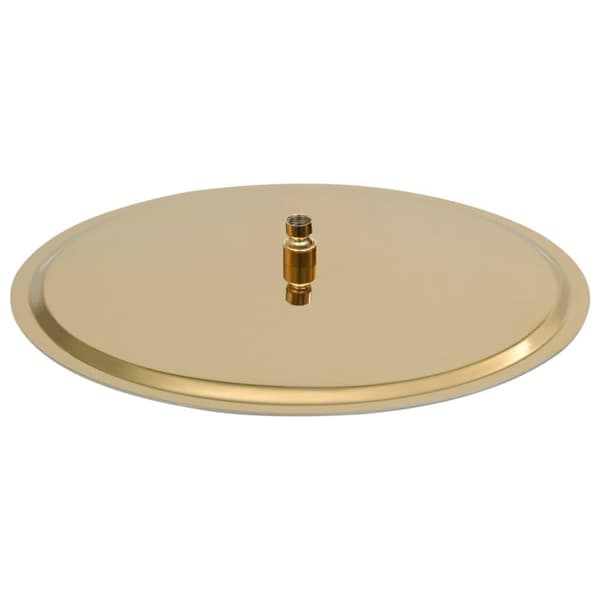 vidaXL Regndusjhode rustfritt stål 50 cm rund gull