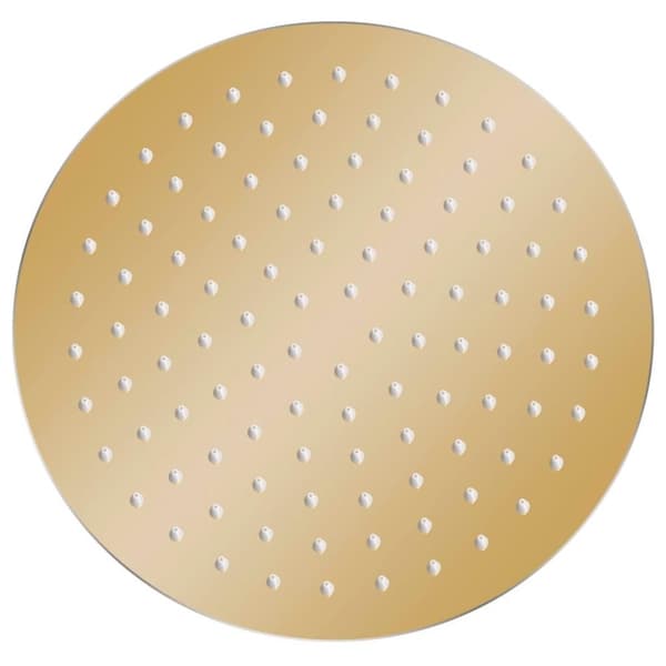vidaXL Regndusjhode rustfritt stål 25 cm rund gull