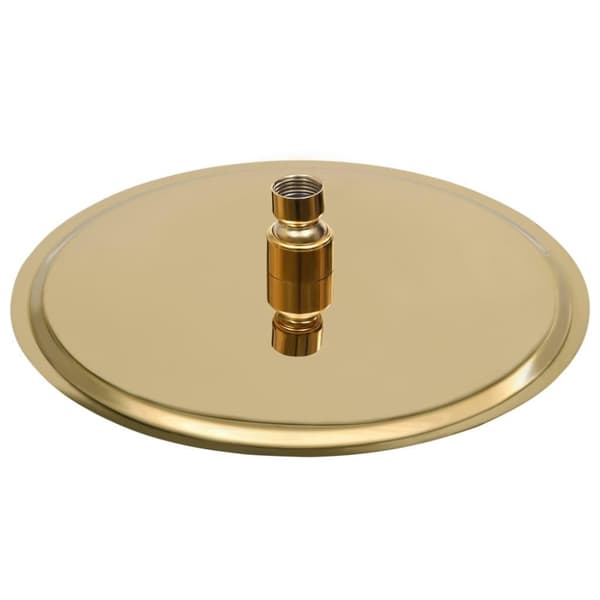 vidaXL Regndusjhode rustfritt stål 25 cm rund gull