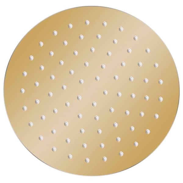 vidaXL Takduschhuvud rostfritt stål 20 cm rund guld