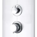 Miniatyrbild 6 av 11: vidaXL Duschpanel 25x43x110 cm silver