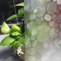 Miniatyrbild 3 av 4: Yuhua Stone TD® 3D duschdraperi 180 x 180 cm Förtjockad Vattentät och mögelsäker