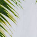 Miniatyrbild 6 av 6: Relaxdays Duschdraperi 180 x 180 cm Badrum Strand Sand Palm Tree Anti-mögel Polyester, Färgad