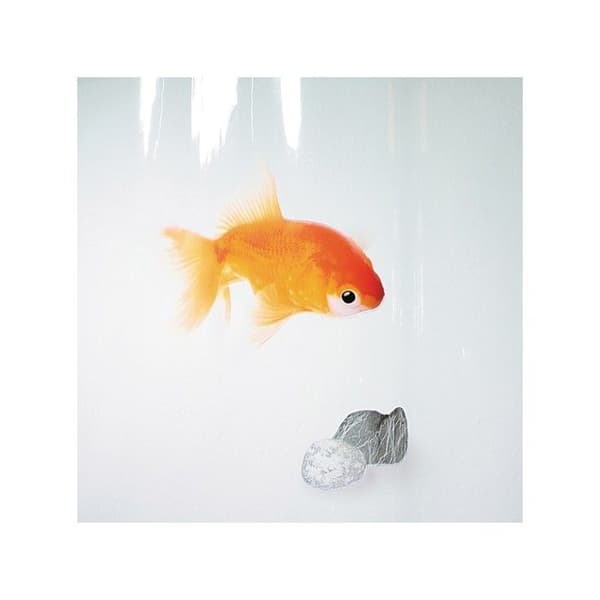 Duschdraperi - Spirella - Guldfisk - 180x200cm - Transparent PVC - Orange