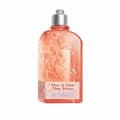 Pikkukuva 1 / 3: Parfymoitu suihkugeeli L'Occitane En Provence   250 ml Kirsikankukka