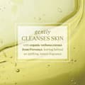 Miniatyrbillede 5 af 5: Shower Gel L'Occitane En Provence   Cleaner Verbena 250 ml