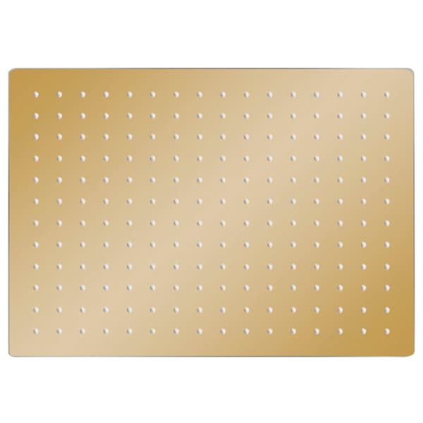 vidaXL regnbrusehoved 40x30 cm rustfrit stål rektangulær guldfarvet