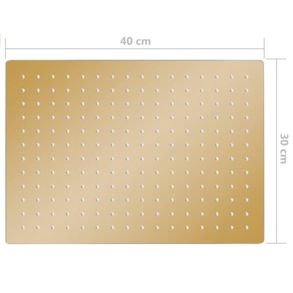 vidaXL Regndusjhode rustfritt stål 40x30 cm firkantet gull
