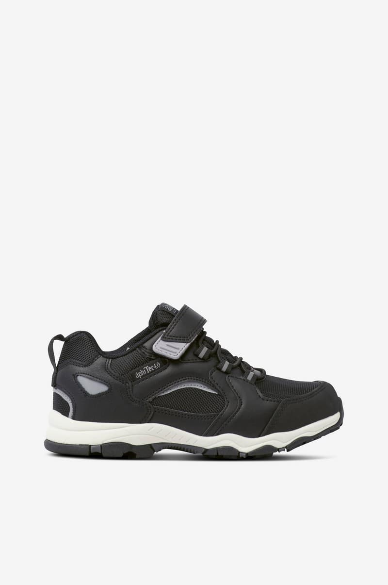 Sneakers Everyday WP