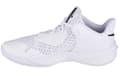 Miniatyrbild 2 av 4: Nike Zoom Hyperspeed Court, Man, Volleyboll skor, vit
