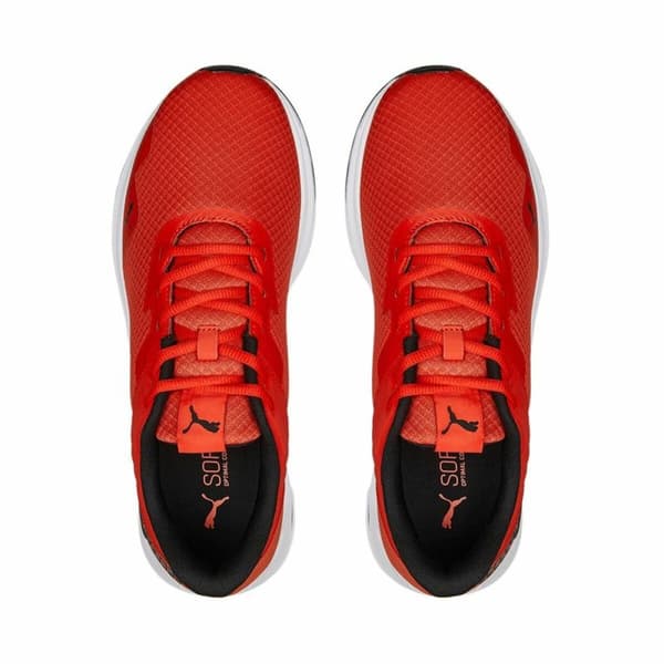 Træningssko Puma Disperse XT 2 Mesh Rød - 42,5