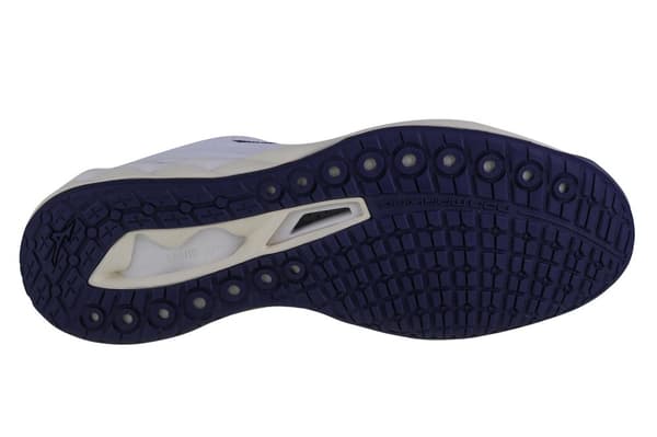 Mizuno Wave Luminous 2 V1GA212043, Man, Volleyboll skor, vit