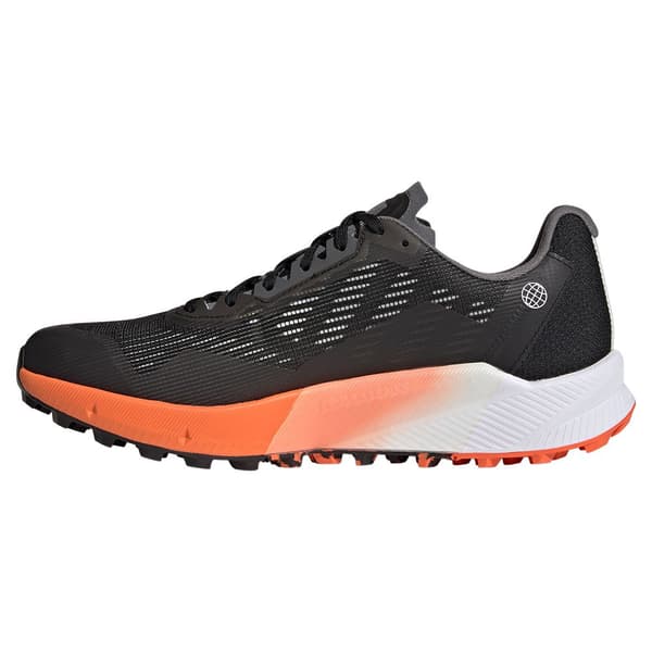 Adidas Maastojuoksukengät Terrex Agravic Flow 2 Goretex Musta EU 44 Mies