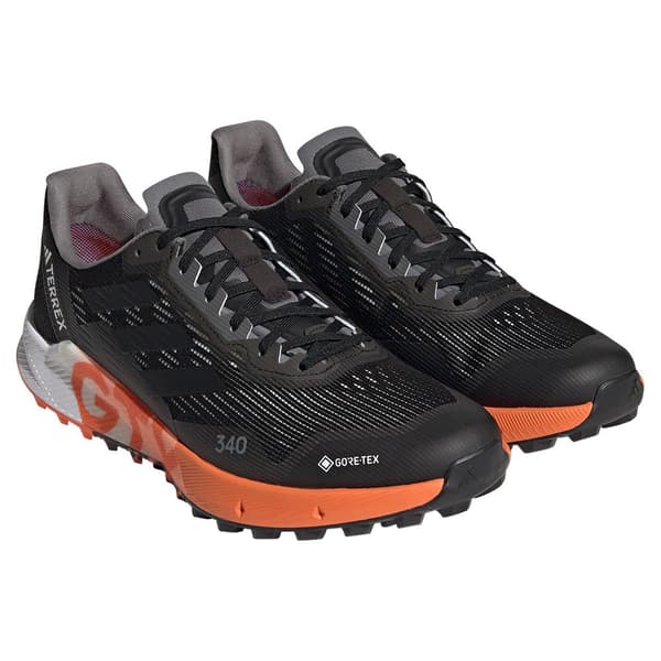 Adidas Maastojuoksukengät Terrex Agravic Flow 2 Goretex Musta EU 44 Mies