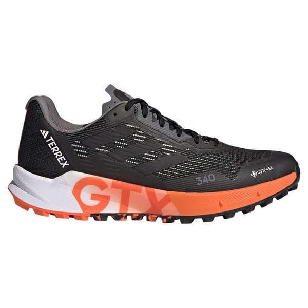 Adidas Maastojuoksukengät Terrex Agravic Flow 2 Goretex Musta EU 44 Mies
