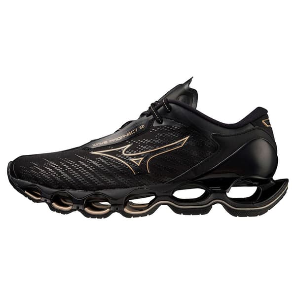 Mizuno Löparskor Wave Prophecy 12 Svart EU 37 Man