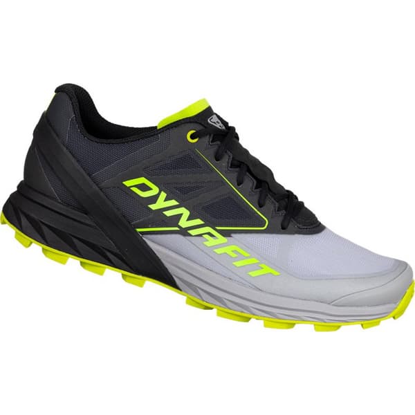 Dynafit Alpine Kengät Trail Running Musta EU 45 Mies