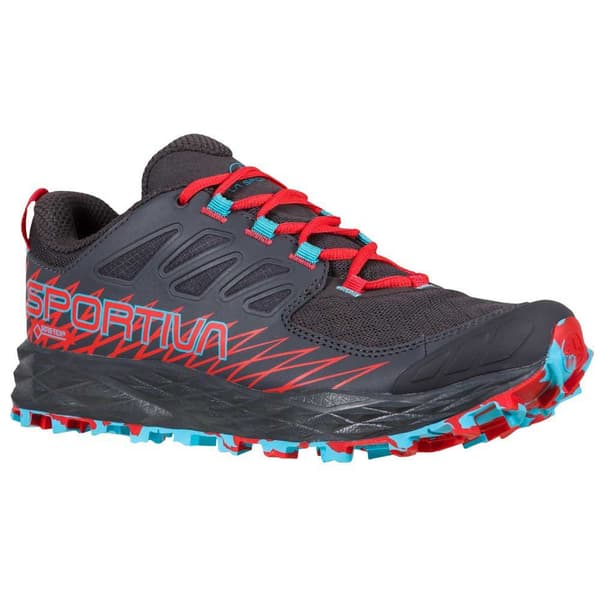La Sportiva Maastojuoksukengät Lycan Goretex Violetti EU 37 1/2 Nainen