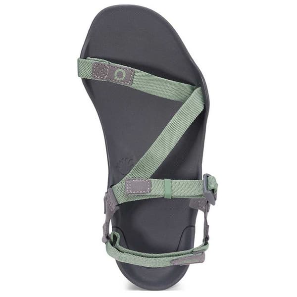 Xero Shoes Sandaler Z-trek Ii Grönt EU 41 1/2 Kvinna