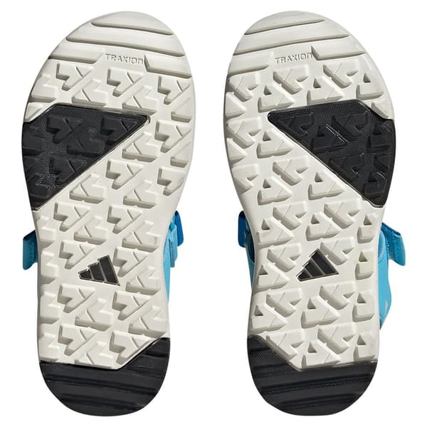 Adidas Sandaalit Terrex Captain Toey 2.0 Sininen EU 39 1/3